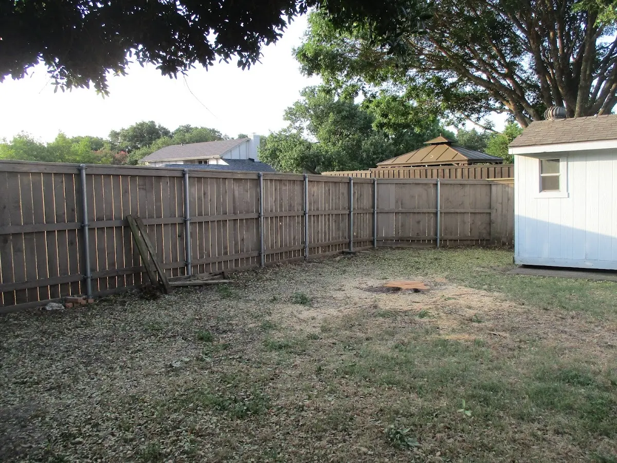 Cleared yard after professional tree removal in Little Compton